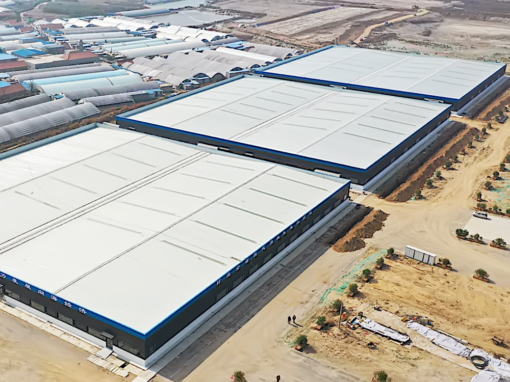 山東日照 - 石斑魚(yú)類 - 海水